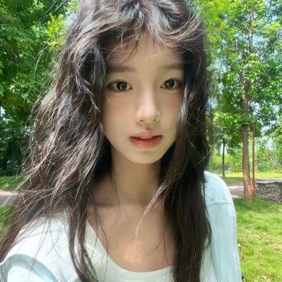 斑马头