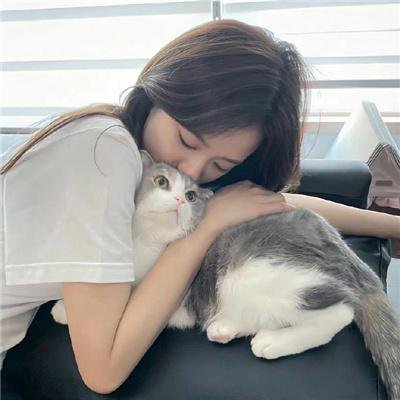 老狼请客